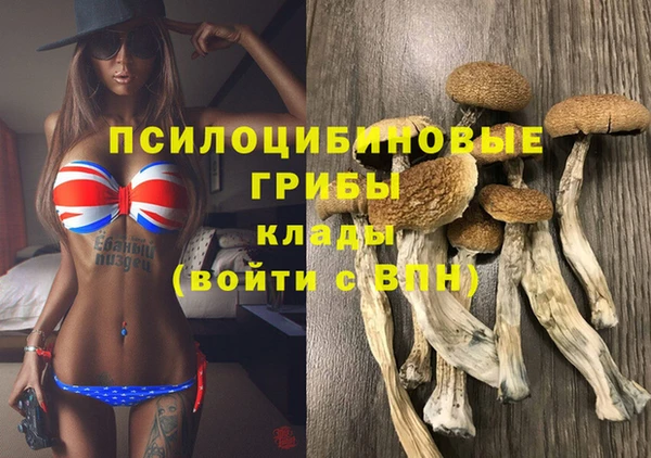 прущая мука Армянск