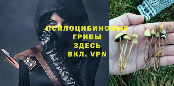 прущая мука Армянск
