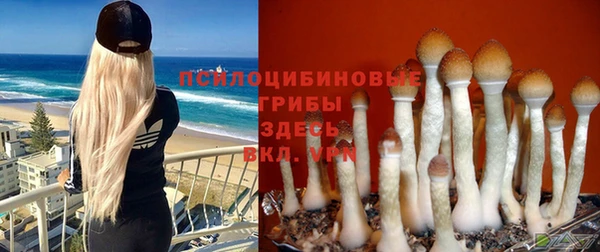СК Арсеньев