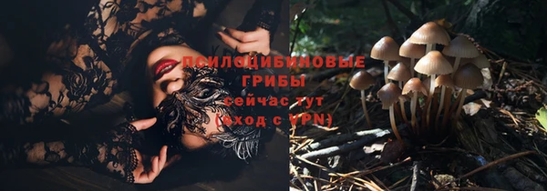 таблы Аркадак
