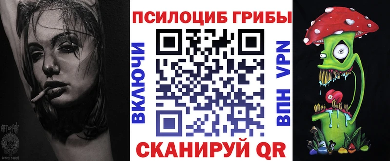 ОМГ ОМГ онион  Пушкино  Галлюциногенные грибы Psilocybe 