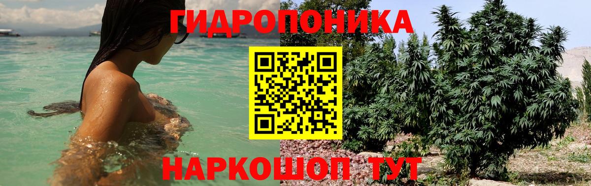 Бошки марихуана White Widow Пушкино